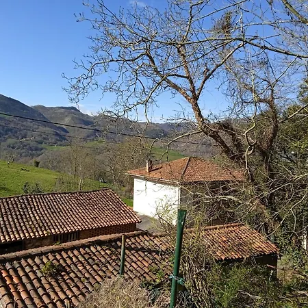 Casa Molily בקתה